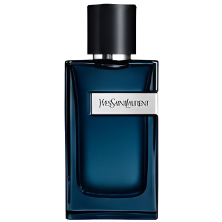 YSL Y Intense